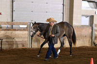 5. ABRA Yearling Stallions