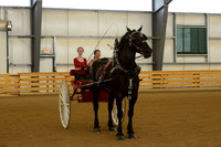 Sr. Youth Cart-19