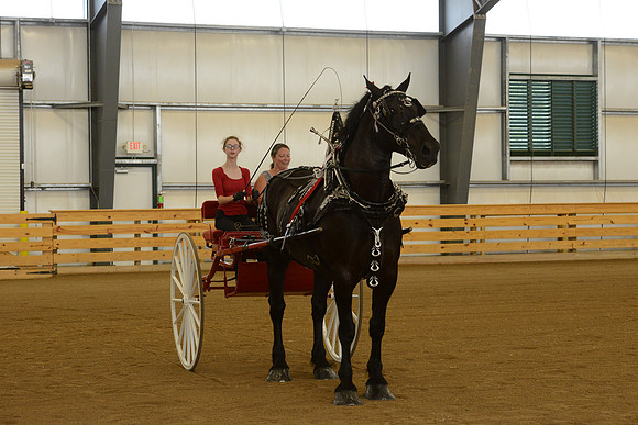 Sr. Youth Cart-19