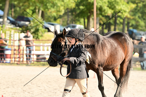 AJB_0327