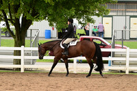 AJB_6586