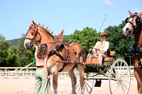 AJB_4853