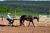 AJB_9805