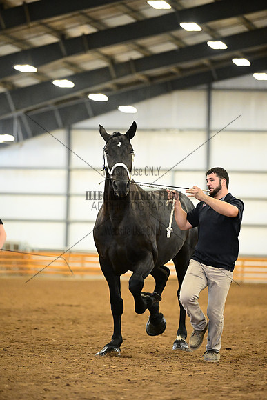 AJB_6345