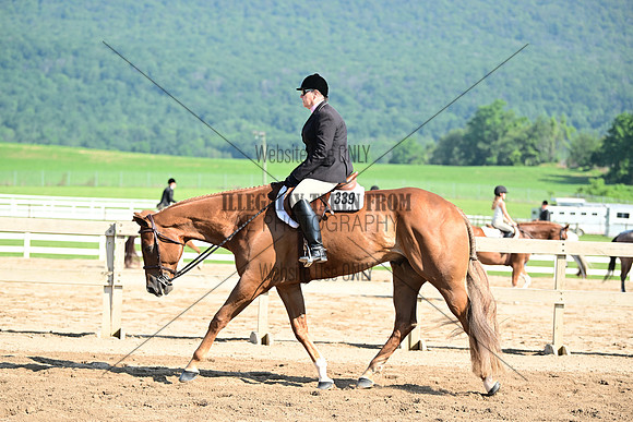 AJB_8953