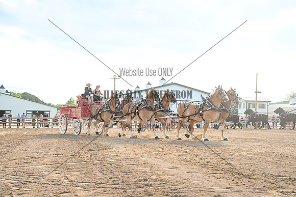 AJB_0543