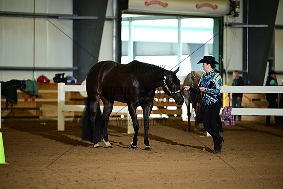 ASH_2533