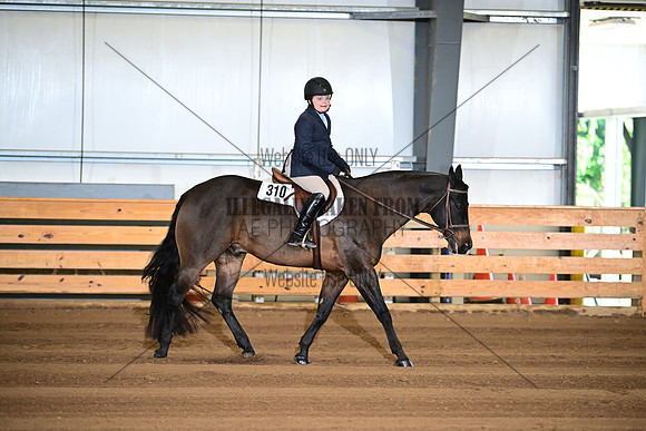 AJB_6384