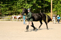 AJB_0393