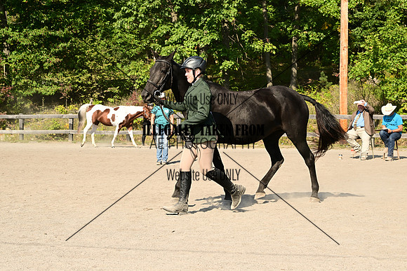 AJB_0393