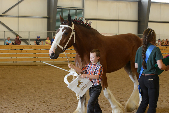 Jr. Youth Showmanship-47