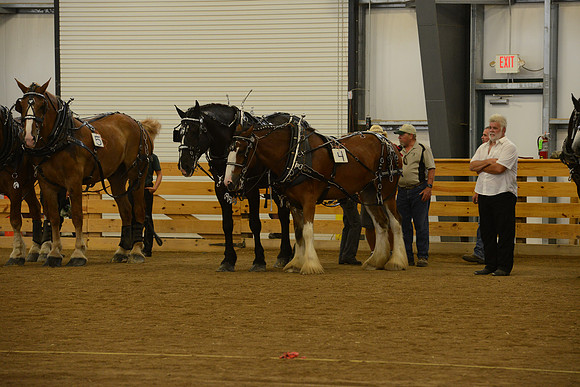 Farm Team-31