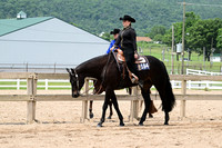 ASH_0237