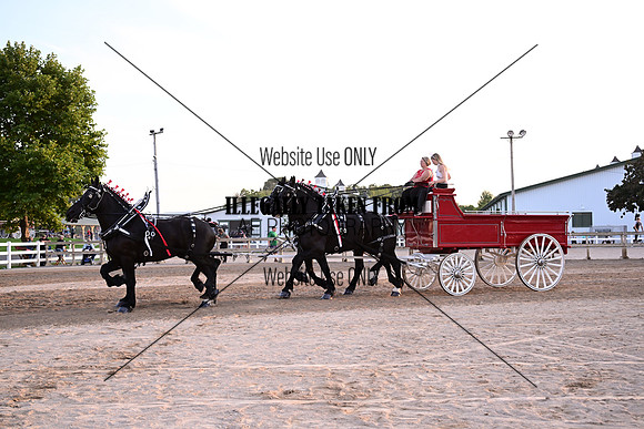 AJB_6662