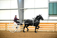 AJB_7224