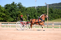 AJB_4520