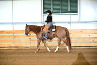 503. Level 1 Amateur Ranch Rail