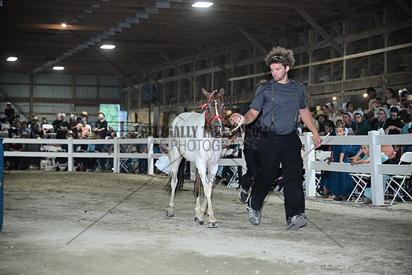 AJB_0793