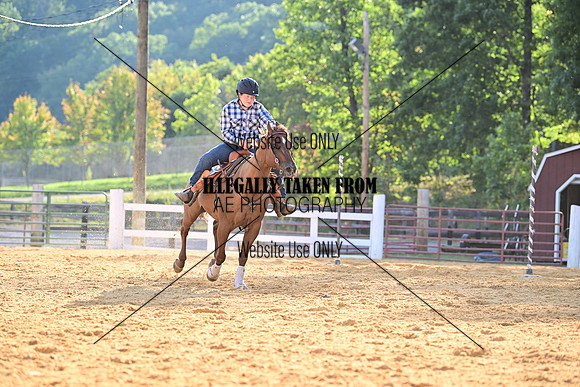 AJB_3198