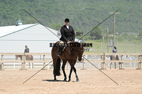 ASH_4684