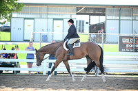 AJB_9084
