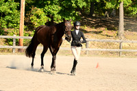 AJB_0290
