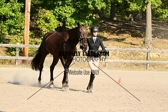 AJB_0290