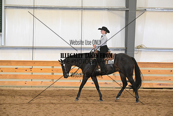AJB_9487