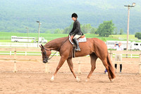 AJB_6631