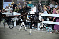 AJB_0955