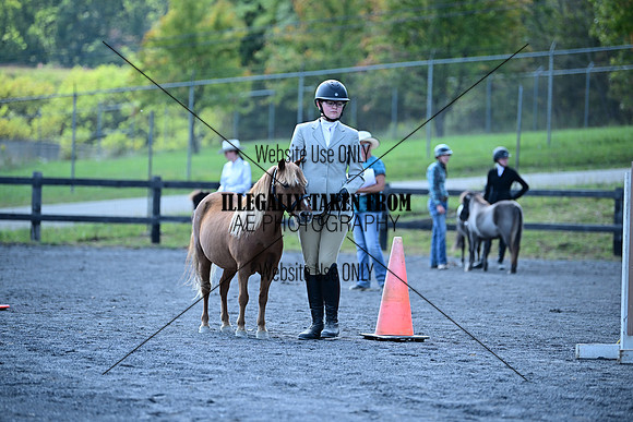 AJB_0943