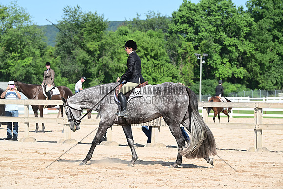 AJB_6728