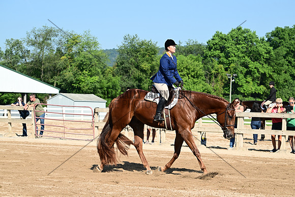 AJB_8928