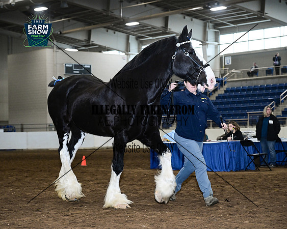 northeast_0389