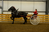 Ladies Cart_Percheron-4