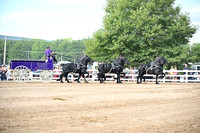 AJB_0445