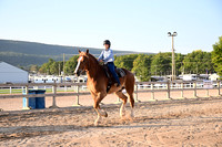 AJB_8213
