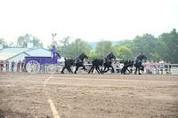 AJB_0450