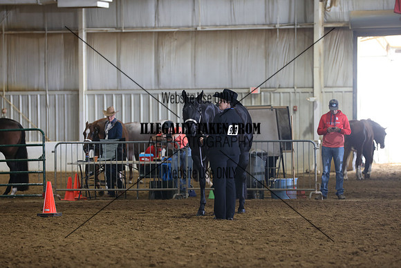 IMG_9575