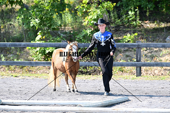 AJB_0979