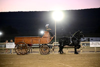 AJB_5702