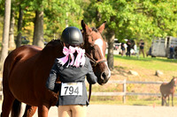 AJB_0228