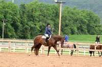 AJB_6745