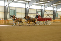 Four Horse Hitch-4