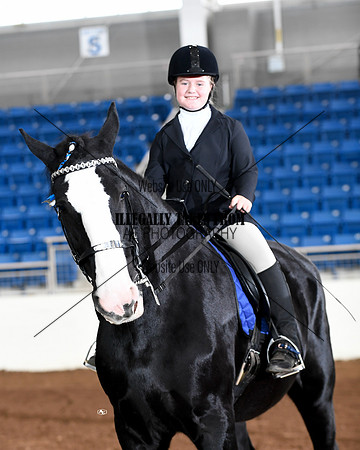 shires_6351