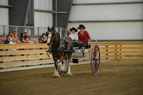Men’s Cart_Clydesdales-2