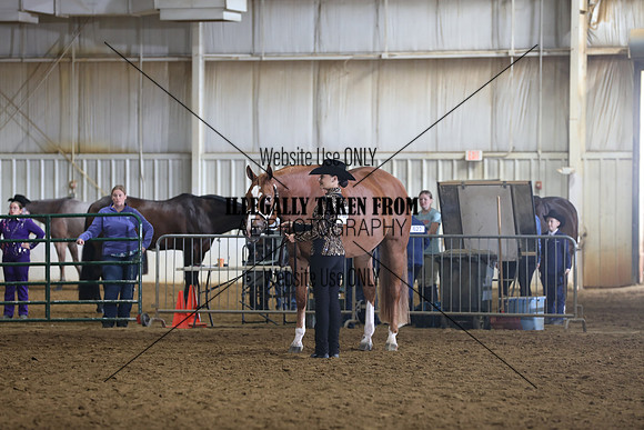 IMG_9856