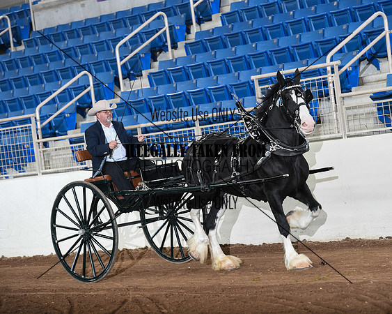 Shires_3567