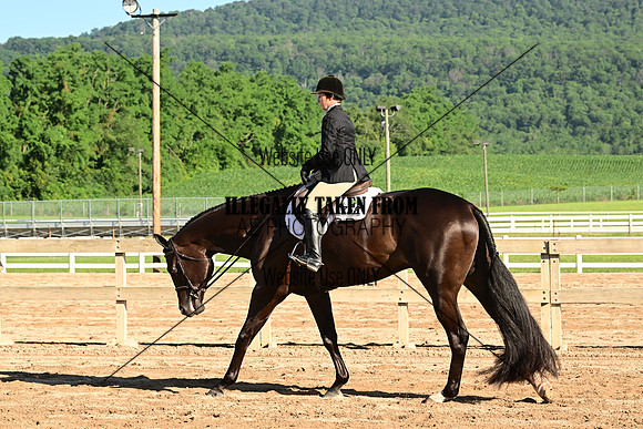 AJB_9969