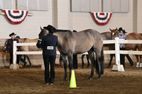 76 ABRA Amateur Walk Trot Showmanship